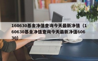 160630基金净值查询今天最新净值（160630基金净值查询今天最新净值60630）