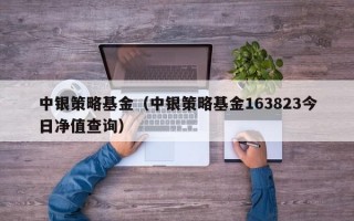 中银策略基金（中银策略基金163823今日净值查询）