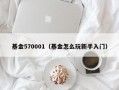 基金570001（基金怎么玩新手入门）