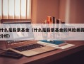 什么是股票基金（什么是股票基金的风险暴露分析）