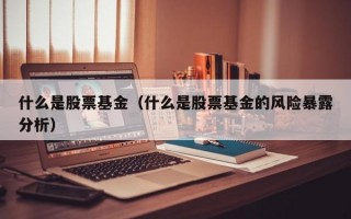 什么是股票基金（什么是股票基金的风险暴露分析）