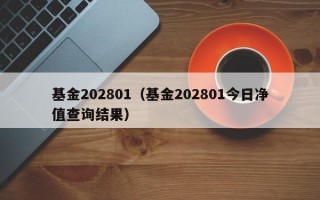 基金202801（基金202801今日净值查询结果）