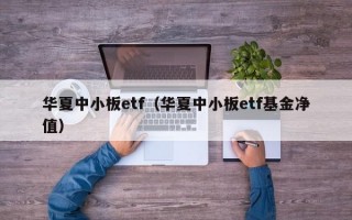 华夏中小板etf（华夏中小板etf基金净值）