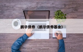 鹏华债券（鹏华债券基金）