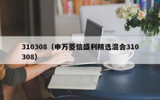 310308（申万菱信盛利精选混合310308）