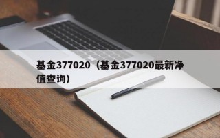 基金377020（基金377020最新净值查询）