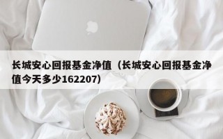 长城安心回报基金净值（长城安心回报基金净值今天多少162207）