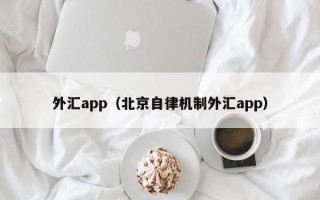外汇app（北京自律机制外汇app）
