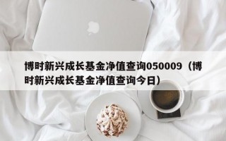 博时新兴成长基金净值查询050009（博时新兴成长基金净值查询今日）