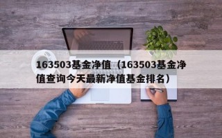 163503基金净值（163503基金净值查询今天最新净值基金排名）