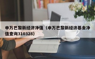 申万巴黎新经济净值（申万巴黎新经济基金净值查询310328）