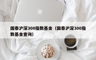 国泰沪深300指数基金（国泰沪深300指数基金查询）