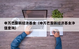 申万巴黎新经济基金（申万巴黎新经济基金净值查询）