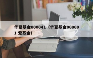 华夏基金000041（华夏基金000001 爱基金）