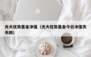 光大优势基金净值（光大优势基金今日净值天天网）