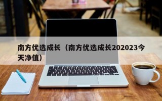 南方优选成长（南方优选成长202023今天净值）