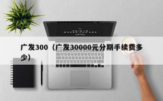 广发300（广发30000元分期手续费多少）