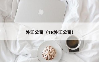 外汇公司（TR外汇公司）