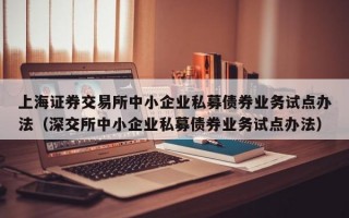 上海证券交易所中小企业私募债券业务试点办法（深交所中小企业私募债券业务试点办法）