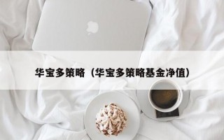 华宝多策略（华宝多策略基金净值）