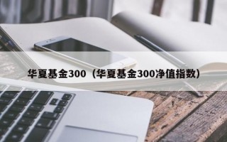 华夏基金300（华夏基金300净值指数）