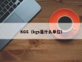 KGS（kgs是什么单位）